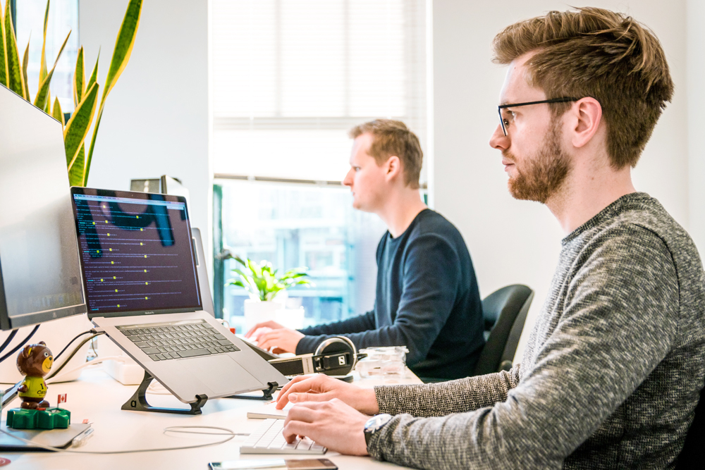 Website design and development process